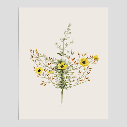 Vintageposter med en botanisk illustration föreställande nejlikglim, även kallad &