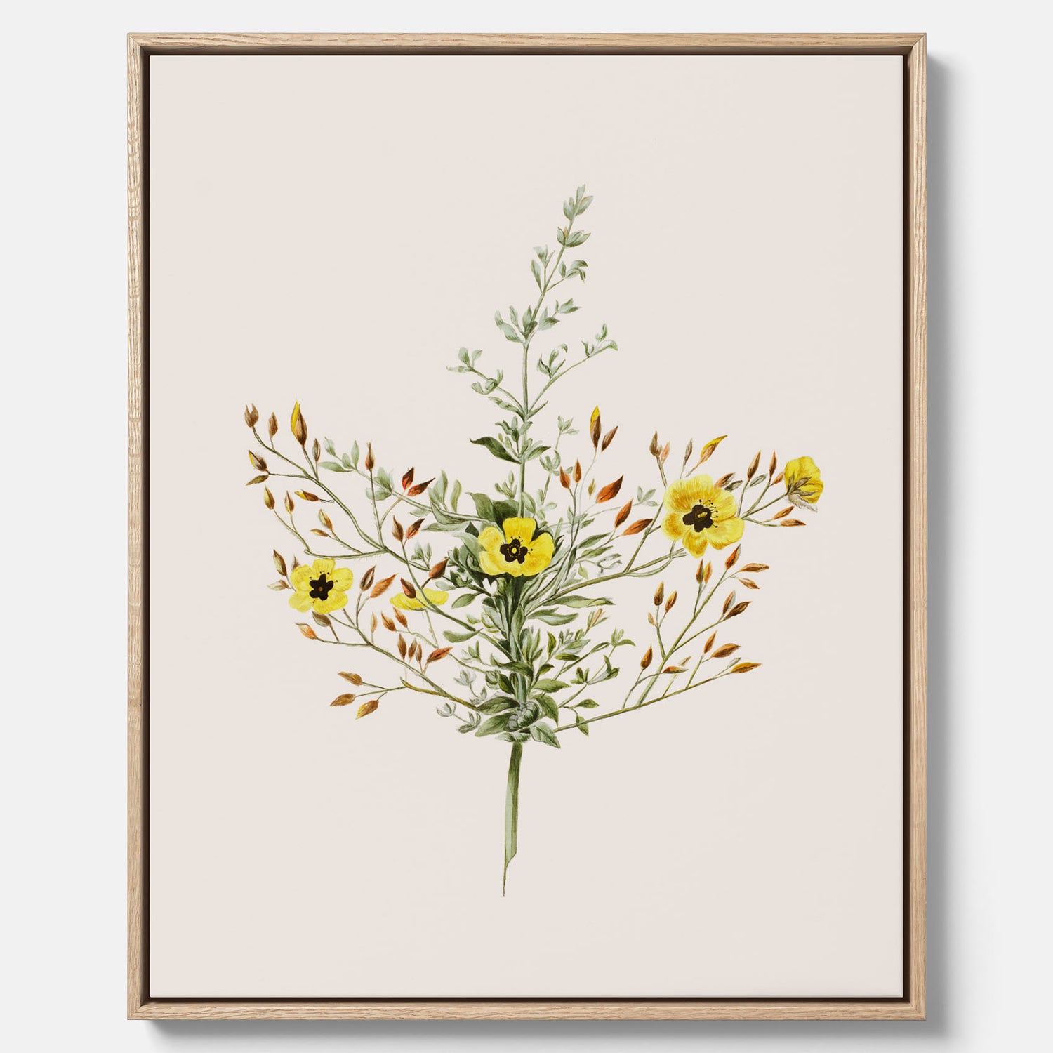 Vintageprint på canvas med en botanisk illustration föreställande nejlikglim, även kallad &