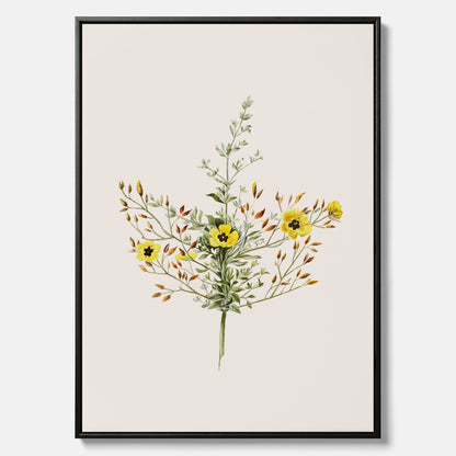 Vintageprint på canvas med en botanisk illustration föreställande nejlikglim, även kallad &