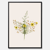 Vintageposter med en botanisk illustration föreställande nejlikglim, även kallad &