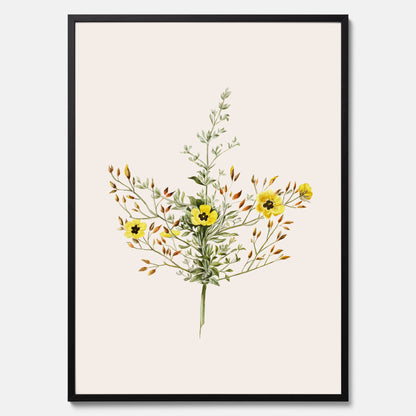 Vintageposter med en botanisk illustration föreställande nejlikglim, även kallad &