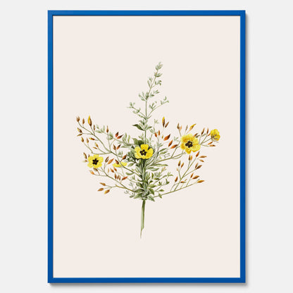Vintageposter med en botanisk illustration föreställande nejlikglim, även kallad &