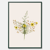 Vintageposter med en botanisk illustration föreställande nejlikglim, även kallad &