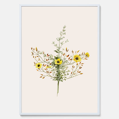 Vintageposter med en botanisk illustration föreställande nejlikglim, även kallad &