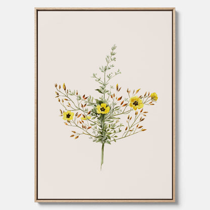 Vintageprint på canvas med en botanisk illustration föreställande nejlikglim, även kallad &