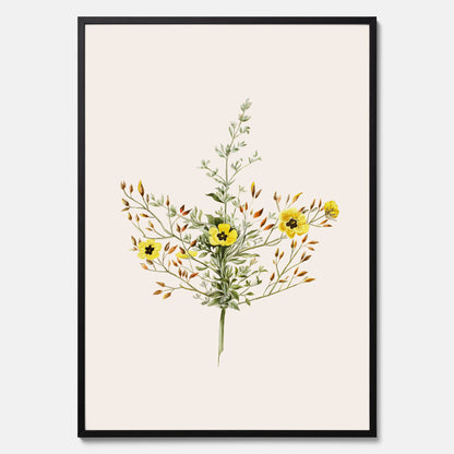 Vintageposter med en botanisk illustration föreställande nejlikglim, även kallad &
