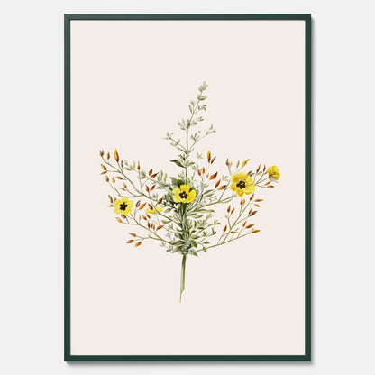 Vintageposter med en botanisk illustration föreställande nejlikglim, även kallad &