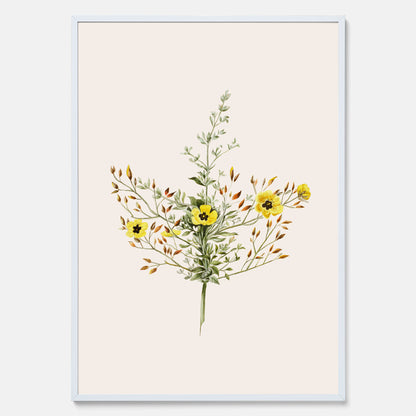 Vintageposter med en botanisk illustration föreställande nejlikglim, även kallad &