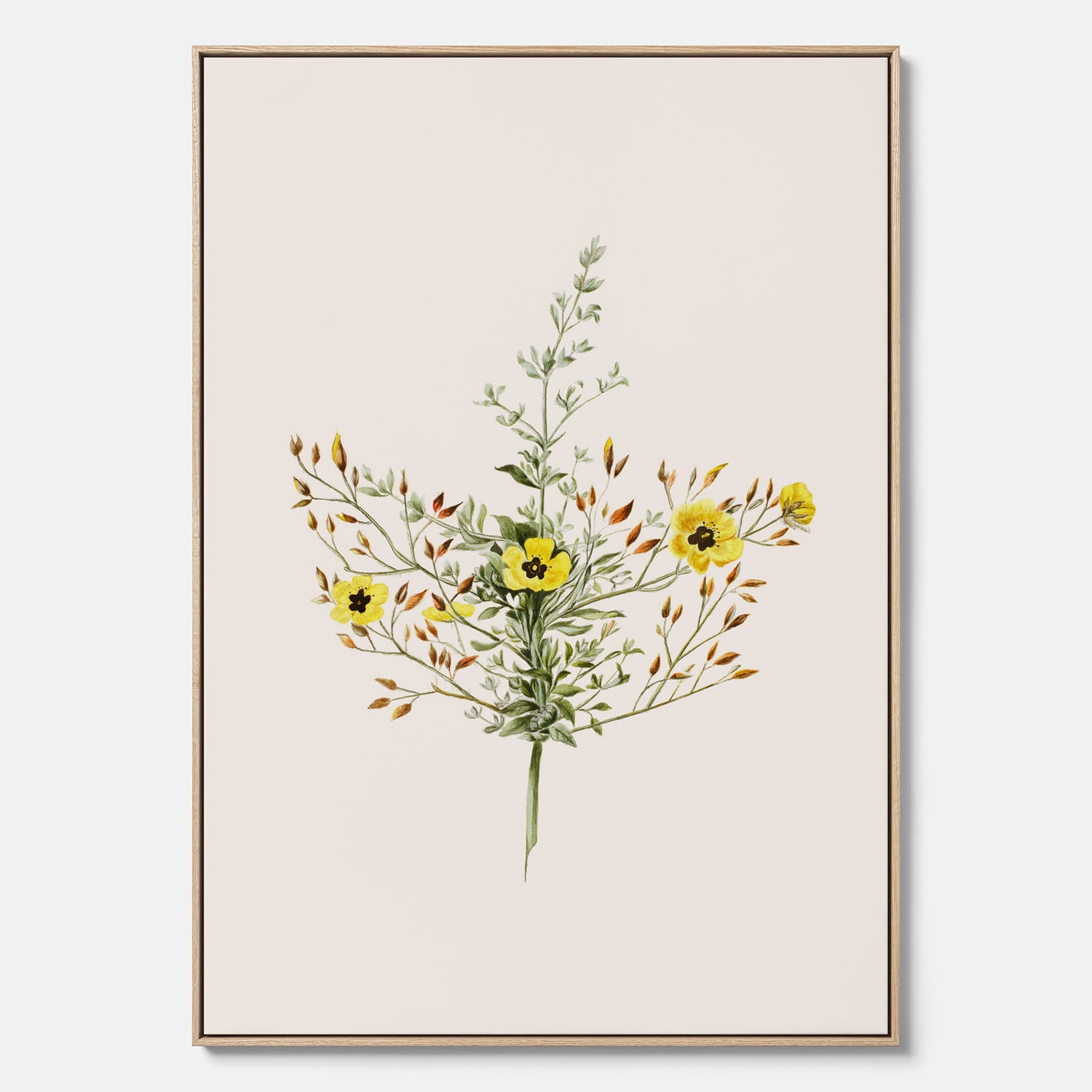 Vintageprint på canvas med en botanisk illustration föreställande nejlikglim, även kallad &
