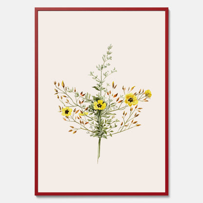Vintageposter med en botanisk illustration föreställande nejlikglim, även kallad &