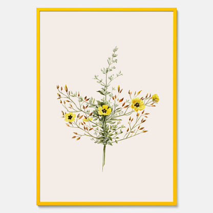 Vintageposter med en botanisk illustration föreställande nejlikglim, även kallad &