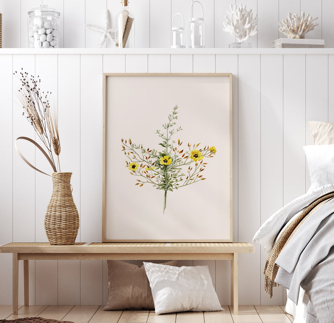 Vintageposter med en botanisk illustration föreställande nejlikglim, även kallad &