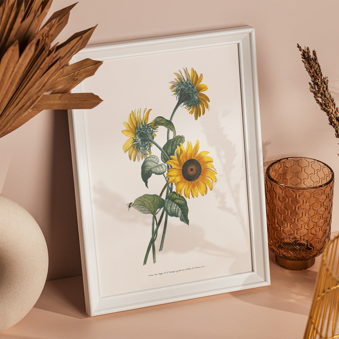 Kökstavla med Solros poster – Botanisk poster, vintage, tavla till kök, köksposter, poster till kök